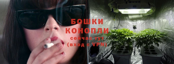 PSILOCYBIN Балабаново