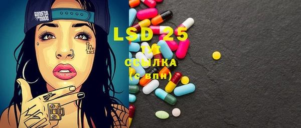PSILOCYBIN Балабаново