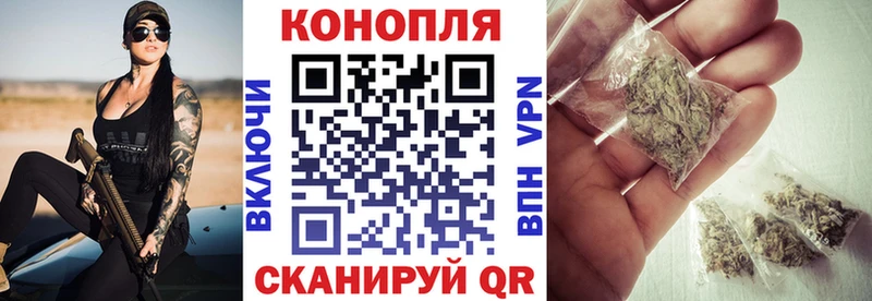 закладки  Вятские Поляны  Канабис конопля 